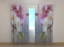 Photo curtains Orchids and Rain
