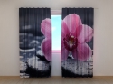Photo curtains Orchid Tenderness