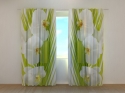 Photo curtains Palm Twig and Orchids