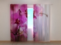 Photo curtains Purple Orchid
