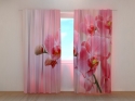 Photo curtains Pink Orchid