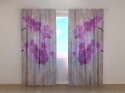 Photo curtains Colibri Orchids 2
