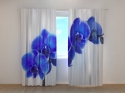 Photo curtains Lovely Sapphire