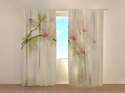 Photo curtains White Flowers