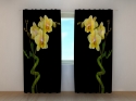Photo curtains Duet of Bamboo and Orchid