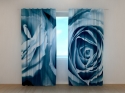 Photo curtains Roses in Blue Shades
