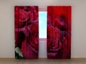 Photo curtains Roses As a Gift