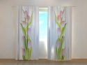 Photo curtains Amazing Pink Tulips