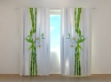 Photo curtains Bamboo and White Orchid