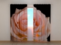 Photo curtains Peach Rose