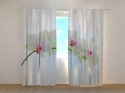 Photo curtains Sprig of White Orchid