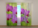 Photo curtains Orchid Romantic