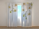Photo curtains Big Orchids