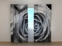 Photo curtains Roses in Black and White Shades