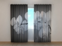 Photo curtains  Songs Orchids Black and White