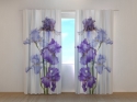 Photo curtains Spring Breeze