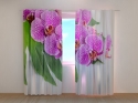 Photo curtains Violet Orchid on a Green Leaf