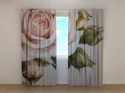 Photo curtains Beautiful Rose with Buds
