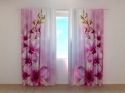 Photo curtains Vine Orchid