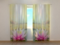 Photo curtains Pink Lotus at a Morning Sun