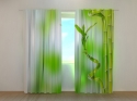 Photo curtains Amazing Bamboo