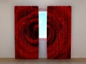 Photo curtains Fresh Red Rose