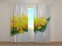 Photo curtains Yellow Orchids