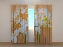 Photo curtains Orchids Asia
