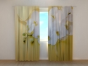 Photo curtains Orchids on Gold