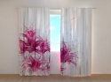 Photo curtains  Raspberry Lilies