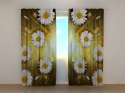 Photo curtains  Abstract Chamomile Flowers
