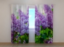 Photo curtains Garden Lilac