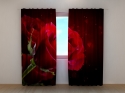 Photo curtains Red Heart