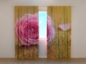 Photo curtains Pink Rose Flower on Gold