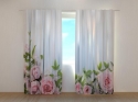 Photo curtains Tenderness of Pink Roses