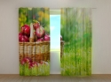 Photo curtains Apples