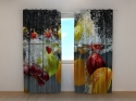 Photo curtains Fresh Fruit on Water