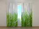 Photo curtains Fresh Green Grass