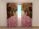 Photo curtains Spring Magnolias