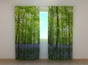 Photo curtains Forest 2