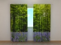 Photo curtains Forest 1