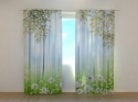 Photo curtains  White Dandelions