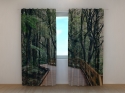 Photo curtains Boardwalk in Forest
