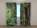 Photo curtains Bamboo Jungles of the Philippines