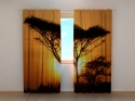 Photo curtains Tree at Sunset