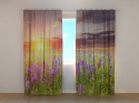 Photo curtains Sunset over Meadow