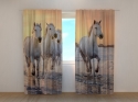 Photo curtains White Horses Galloping at Sunset in France