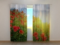 Photo curtains Poppies Hill