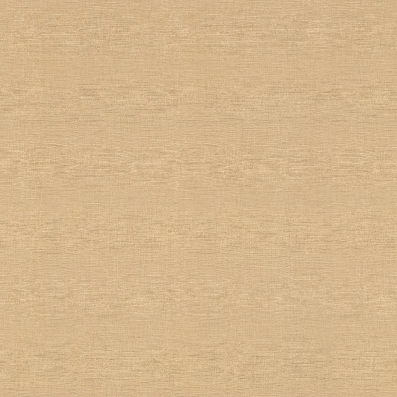 531367 Wallpaper