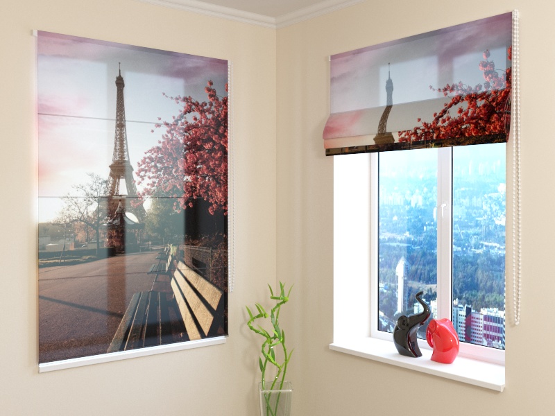 Roman Blind Spring in Paris 2